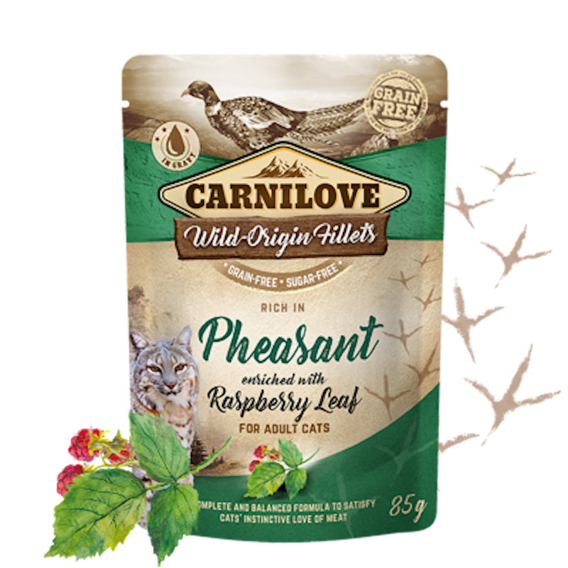 CARNILOVE Wild-Origin Fillets Cat Wet Pouch - Pheasant with Raspberry Leaves