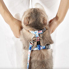 Load image into Gallery viewer, PETKIT Cat Harness and Leash Set
