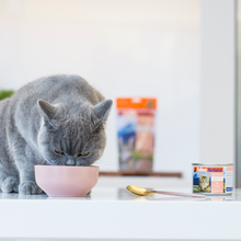 Load image into Gallery viewer, FELINE NATURAL Lamb &amp; King Salmon Feast Can for CATS
