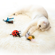 Load image into Gallery viewer, GIGWI Cat Insects Toy Box
