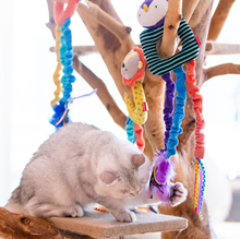 Load image into Gallery viewer, GIGWI Cat Scratch Hanging Toy with Buckle
