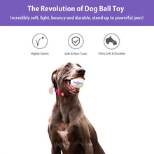 Load image into Gallery viewer, GIGWI Pop-Pals Dog Fetch Ball Chew Toy
