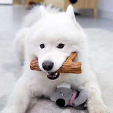 Load image into Gallery viewer, GIGWI Squeaky Dog Toy - Koala
