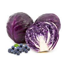 Load image into Gallery viewer, HEALTHY PETS Freeze-Dried Purple Vegetable/ 2023.10.24
