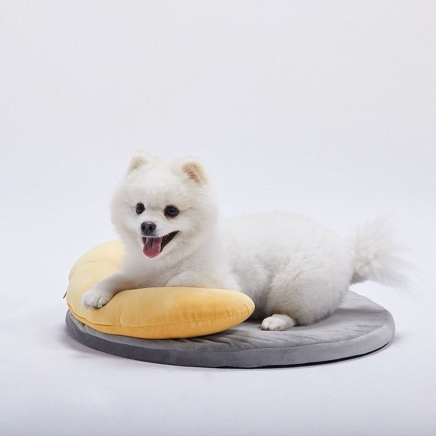 LINSLINS Moon Bed for Pets