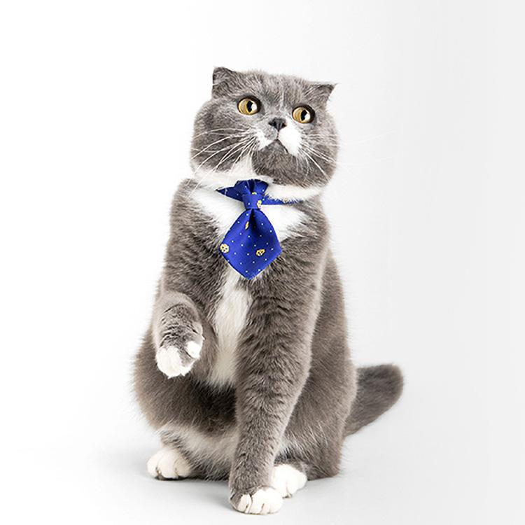 PIDAN Pet Collar Necktie