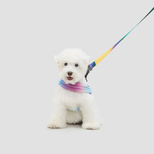 Load image into Gallery viewer, [DISCOUNTINUED] PIDAN Pet Harness for Dog
