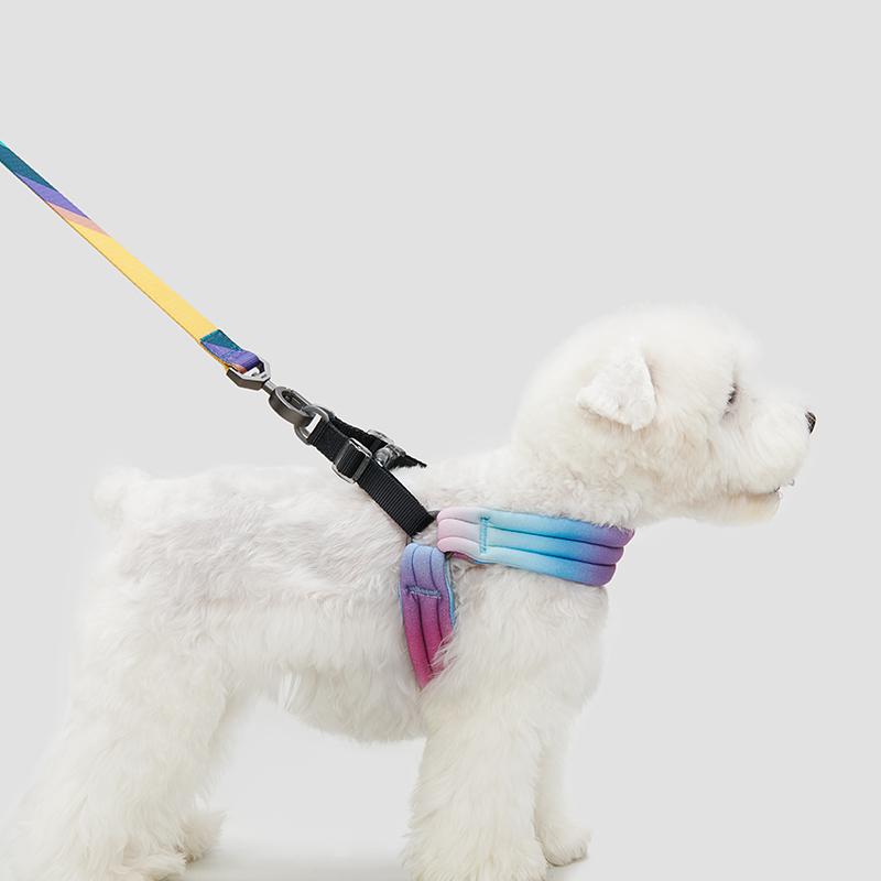 [DISCOUNTINUED] PIDAN Pet Harness for Dog