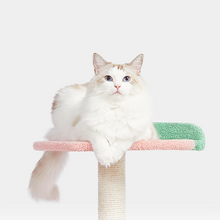 Load image into Gallery viewer, VETRESKA Fruit Shaped Cat Climbing Tree
