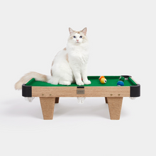 Load image into Gallery viewer, VETRESKA Meownooker Cat Toy Set / Billiards Pool Table
