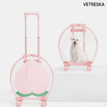 Load image into Gallery viewer, VETRESKA Bubble Luggage Pink Peach
