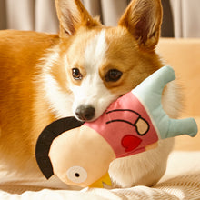 Load image into Gallery viewer, WOOF FRIENDS Squeaking Pet Toy - Birdman NiaoShi
