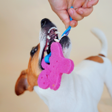 Load image into Gallery viewer, GIGWI Gum Gum Dog Chewing Toy

