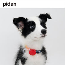 Load image into Gallery viewer, PIDAN Pet Pet Safety Night Light Collar
