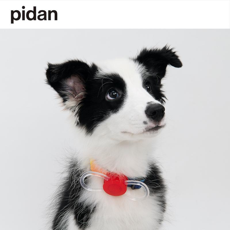 PIDAN Pet Pet Safety Night Light Collar